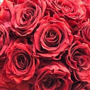 Meet your Posher, Robin